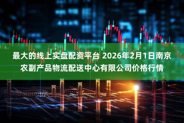 最大的线上实盘配资平台 2026年2月1日南京农副产品物流配送中心有限公司价格行情