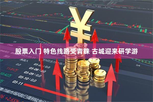 股票入门 特色线路受青睐 古城迎来研学游